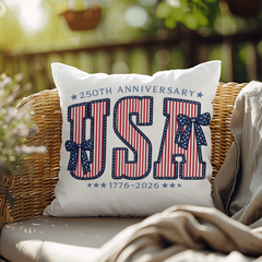 A Once-in-a-Lifetime Celebration of America indoor/outdoor pillow💖
